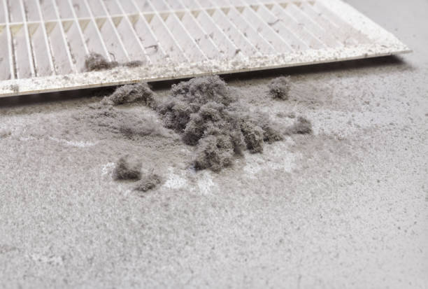 Best HVAC Duct Inspection Services  in Rainbow Lakes Estates, FL