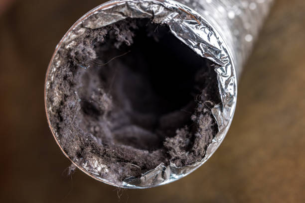 Best Ductwork Cleaning Services  in Rainbow Lakes Estates, FL