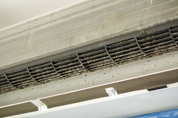 Best Commercial Air Duct Cleaning  in Rainbow Lakes Estates, FL